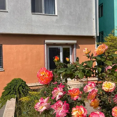 Premium Joy Life Costinesti